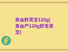 贡山野灵芝120g(贡山产120g野生灵芝)