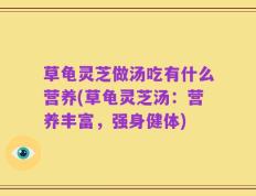草龟灵芝做汤吃有什么营养(草龟灵芝汤：营养丰富，强身健体)