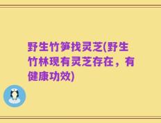 野生竹笋找灵芝(野生竹林现有灵芝存在，有健康功效)