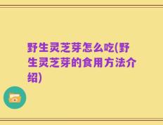 野生灵芝芽怎么吃(野生灵芝芽的食用方法介绍)