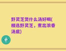 野灵芝煲什么汤好喝(精选野灵芝，煮出浓香汤底)