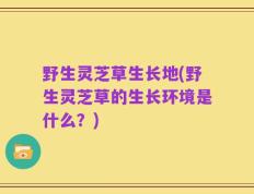 野生灵芝草生长地(野生灵芝草的生长环境是什么？)