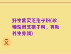 野生紫灵芝孢子粉(珍稀紫灵芝孢子粉，有助养生养颜)