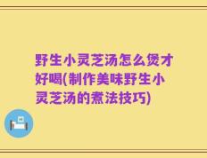 野生小灵芝汤怎么煲才好喝(制作美味野生小灵芝汤的煮法技巧)