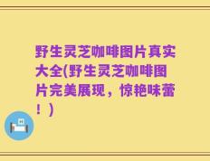 野生灵芝咖啡图片真实大全(野生灵芝咖啡图片完美展现，惊艳味蕾！)
