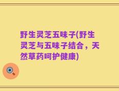 野生灵芝五味子(野生灵芝与五味子结合，天然草药呵护健康)