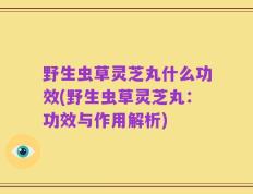 野生虫草灵芝丸什么功效(野生虫草灵芝丸：功效与作用解析)