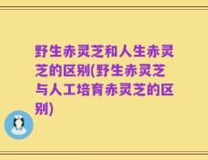 野生赤灵芝和人生赤灵芝的区别(野生赤灵芝与人工培育赤灵芝的区别)