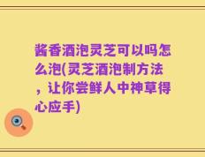 酱香酒泡灵芝可以吗怎么泡(灵芝酒泡制方法，让你尝鲜人中神草得心应手)