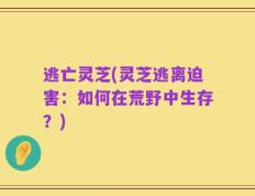 逃亡灵芝(灵芝逃离迫害：如何在荒野中生存？)
