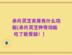 赤片灵芝食用有什么功能(赤片灵芝神奇功能 吃了能受益！)