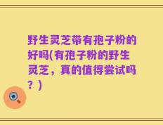 野生灵芝带有孢子粉的好吗(有孢子粉的野生灵芝，真的值得尝试吗？)
