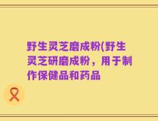 野生灵芝磨成粉(野生灵芝研磨成粉，用于制作保健品和药品