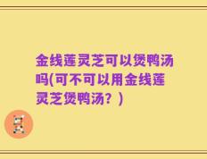 金线莲灵芝可以煲鸭汤吗(可不可以用金线莲灵芝煲鸭汤？)