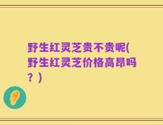 野生红灵芝贵不贵呢(野生红灵芝价格高昂吗？)