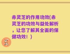 赤灵芝的作用功效(赤灵芝的功效与益处解析，让您了解其全面的保健功效！)