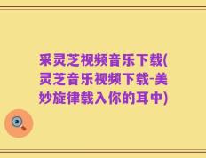 采灵芝视频音乐下载(灵芝音乐视频下载-美妙旋律载入你的耳中)
