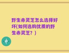 野生赤灵芝怎么选择好坏(如何选购优质的野生赤灵芝？)