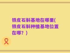 铁皮石斛基地在哪里(铁皮石斛种植基地位置在哪？)