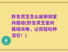 野生灵芝怎么能移到室内栽培(野生灵芝室内栽培攻略，让你轻松种活它！)