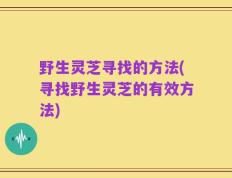 野生灵芝寻找的方法(寻找野生灵芝的有效方法)