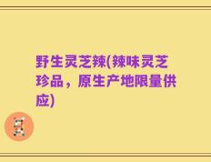 野生灵芝辣(辣味灵芝珍品，原生产地限量供应)