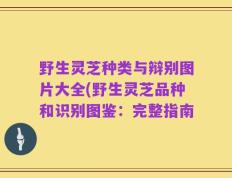 野生灵芝种类与辩别图片大全(野生灵芝品种和识别图鉴：完整指南