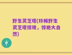 野生灵芝塔(珍稀野生灵芝塔惊现，惊艳大自然)