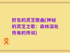 野生的灵芝歌曲(神秘的灵芝之歌：森林深处传来的传说)