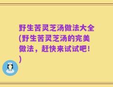野生苦灵芝汤做法大全(野生苦灵芝汤的完美做法，赶快来试试吧！)