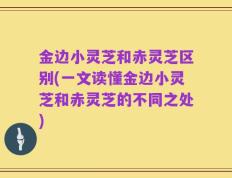 金边小灵芝和赤灵芝区别(一文读懂金边小灵芝和赤灵芝的不同之处)
