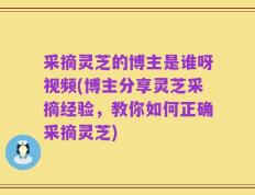 采摘灵芝的博主是谁呀视频(博主分享灵芝采摘经验，教你如何正确采摘灵芝)