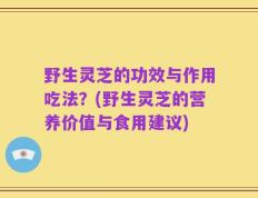 野生灵芝的功效与作用吃法？(野生灵芝的营养价值与食用建议)