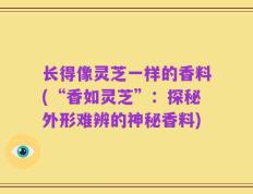 长得像灵芝一样的香料(“香如灵芝”：探秘外形难辨的神秘香料)