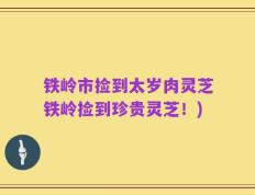 铁岭市捡到太岁肉灵芝铁岭捡到珍贵灵芝！)