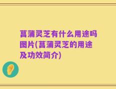 菖蒲灵芝有什么用途吗图片(菖蒲灵芝的用途及功效简介)