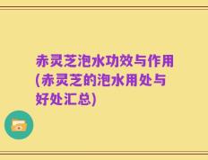 赤灵芝泡水功效与作用(赤灵芝的泡水用处与好处汇总)