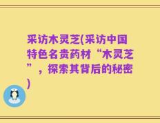 采访木灵芝(采访中国特色名贵药材“木灵芝”，探索其背后的秘密)