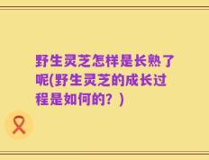野生灵芝怎样是长熟了呢(野生灵芝的成长过程是如何的？)