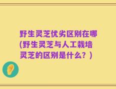 野生灵芝优劣区别在哪(野生灵芝与人工栽培灵芝的区别是什么？)