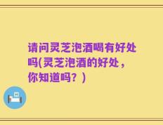 请问灵芝泡酒喝有好处吗(灵芝泡酒的好处，你知道吗？)