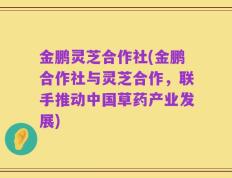 金鹏灵芝合作社(金鹏合作社与灵芝合作，联手推动中国草药产业发展)