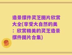 造景摆件灵芝图片欣赏大全(享受大自然的美：欣赏精美的灵芝造景摆件图片合集)
