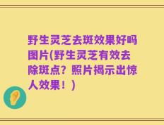 野生灵芝去斑效果好吗图片(野生灵芝有效去除斑点？照片揭示出惊人效果！)