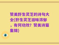 赞美野生灵芝的诗句大全(野生灵芝滋味浓郁，有何功效？赞美诗篇集锦)