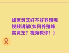 蜂窝灵芝好不好养殖呢视频讲解(如何养殖蜂窝灵芝？视频教你！)