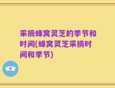采摘蜂窝灵芝的季节和时间(蜂窝灵芝采摘时间和季节)