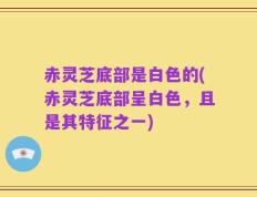 赤灵芝底部是白色的(赤灵芝底部呈白色，且是其特征之一)