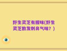 野生灵芝有腥味(野生灵芝散发刺鼻气味？)