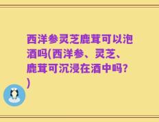 西洋参灵芝鹿茸可以泡酒吗(西洋参、灵芝、鹿茸可沉浸在酒中吗？)